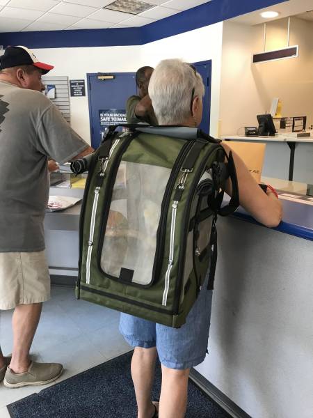 morning picdump 54 pics 1.html - 54 HD Photos | Premium Gallery 2018