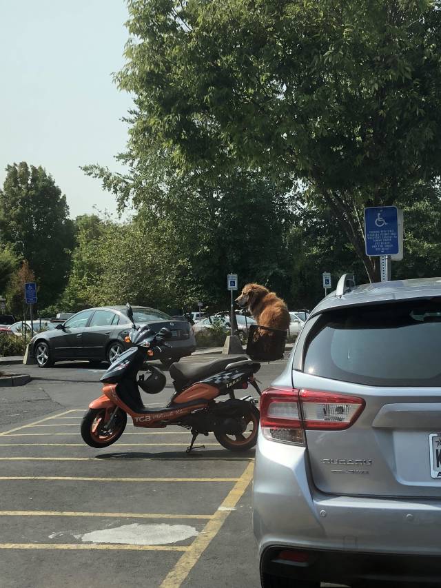 morning picdump 54 pics 1.html - 54 HD Photos | Premium Gallery 2018