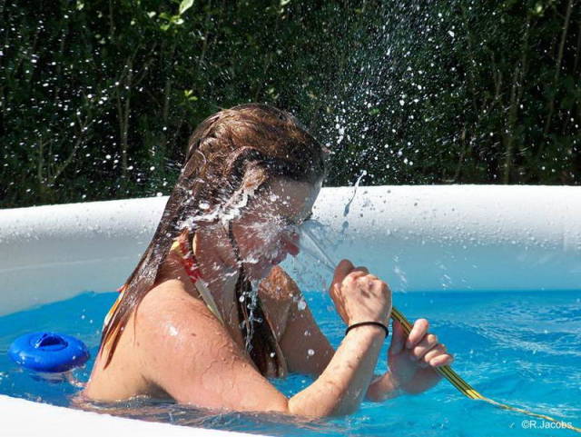 daily picdump 84 pics 42.html - 84 HD Photos | Premium Gallery 2018