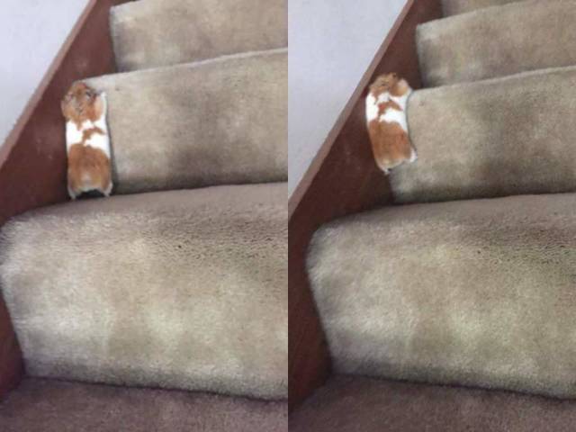 daily picdump 84 pics 42.html - 84 HD Photos | Premium Gallery 2018