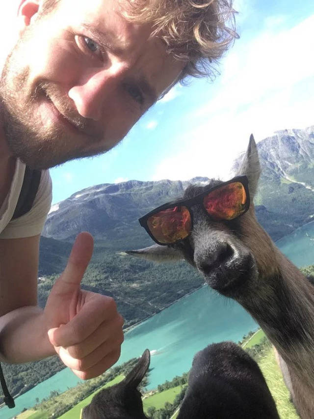 daily picdump 84 pics 42.html - 84 HD Photos | Premium Gallery 2018