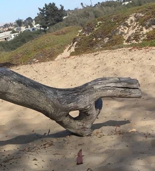 Dirty Minds Shall Be Pleased Here!