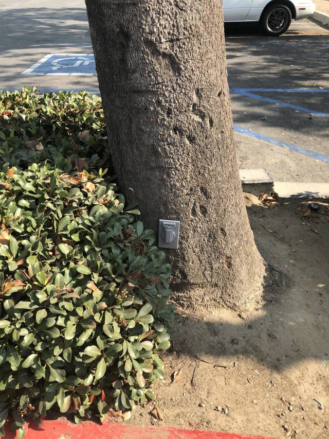 daily picdump 86 pics 7.html - 86 HD Photos | Premium Gallery 2018