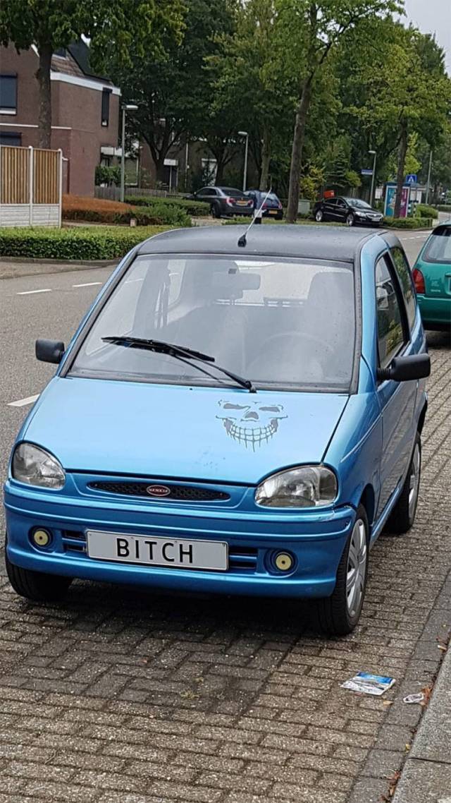 daily picdump 86 pics 7.html - 86 HD Photos | Premium Gallery 2018