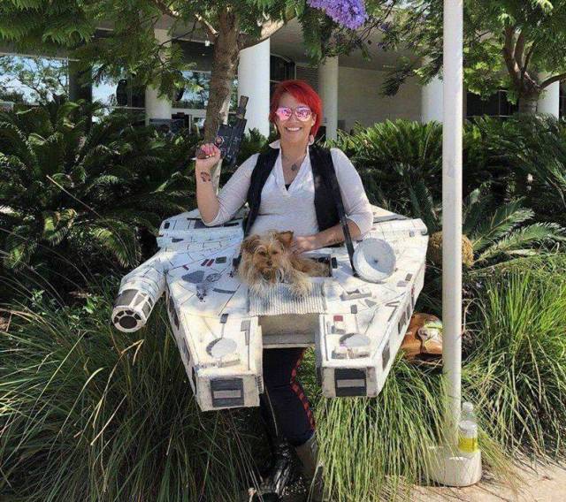 morning picdump 53 pics 43.html - 53 HD Photos | Premium Gallery 2018