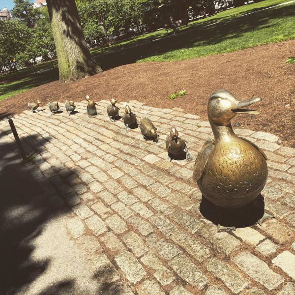 morning picdump 53 pics 20.html - 53 HD Photos | Premium Gallery 2018