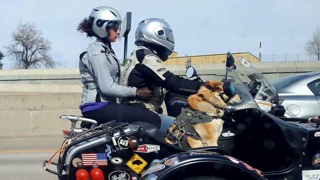 morning picdump 53 pics 20.html - 53 HD Photos | Premium Gallery 2018