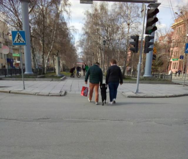 morning picdump 53 pics 20.html - 53 HD Photos | Premium Gallery 2018