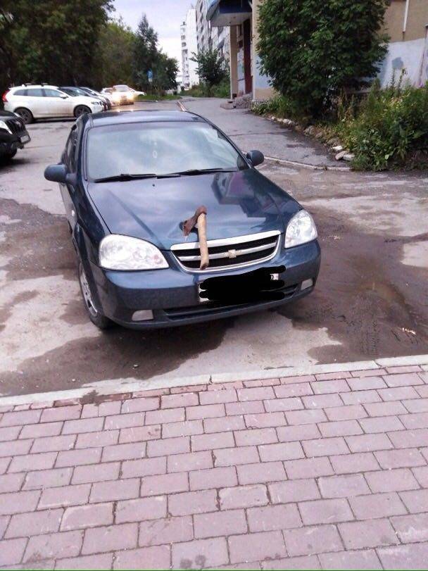 morning picdump 53 pics 20.html - 53 HD Photos | Premium Gallery 2018