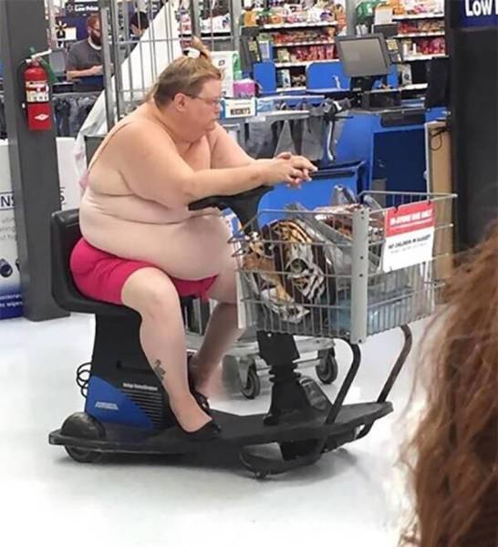 daily picdump weekend edition 55 pics 14.html - 55 HD Photos | Premium Gallery 2018