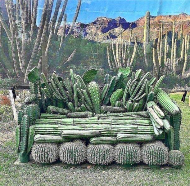 daily picdump weekend edition 55 pics 14.html - 55 HD Photos | Premium Gallery 2018