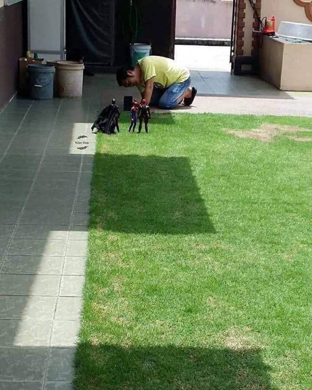 daily picdump weekend edition 55 pics 14.html - 55 HD Photos | Premium Gallery 2018