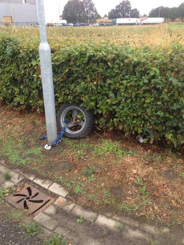 daily picdump weekend edition 55 pics 14.html - 55 HD Photos | Premium Gallery 2018