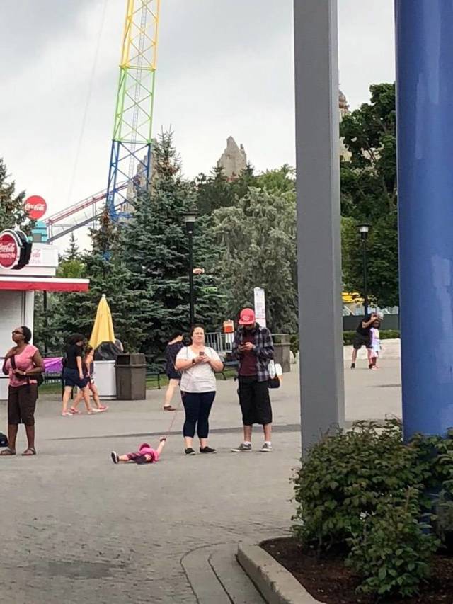 daily picdump weekend edition 55 pics 14.html - 55 HD Photos | Premium Gallery 2018