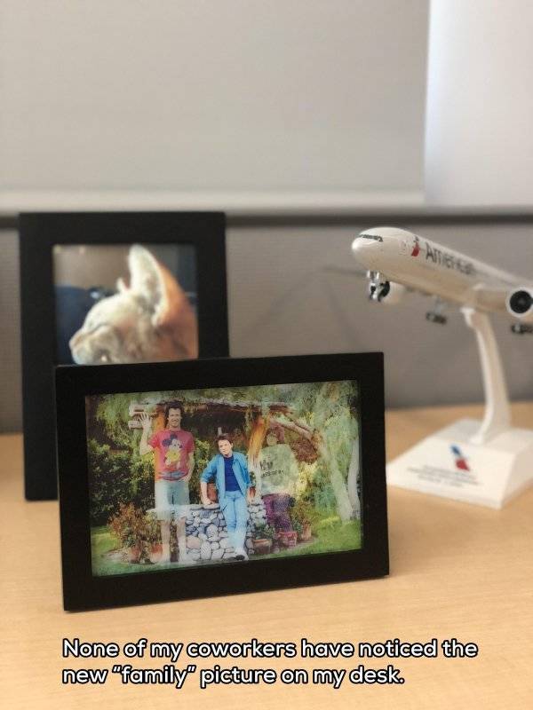 daily picdump weekend edition 55 pics 14.html - 55 HD Photos | Premium Gallery 2018