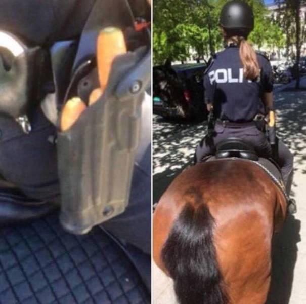 daily picdump 86 pics 24.html - 86 HD Photos | Premium Gallery 2018