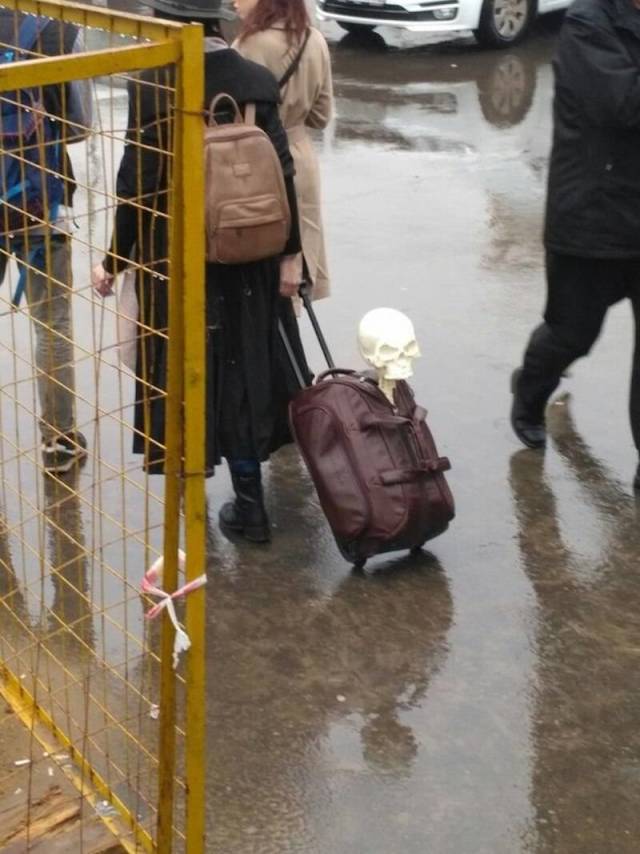 daily picdump 86 pics 24.html - 86 HD Photos | Premium Gallery 2018