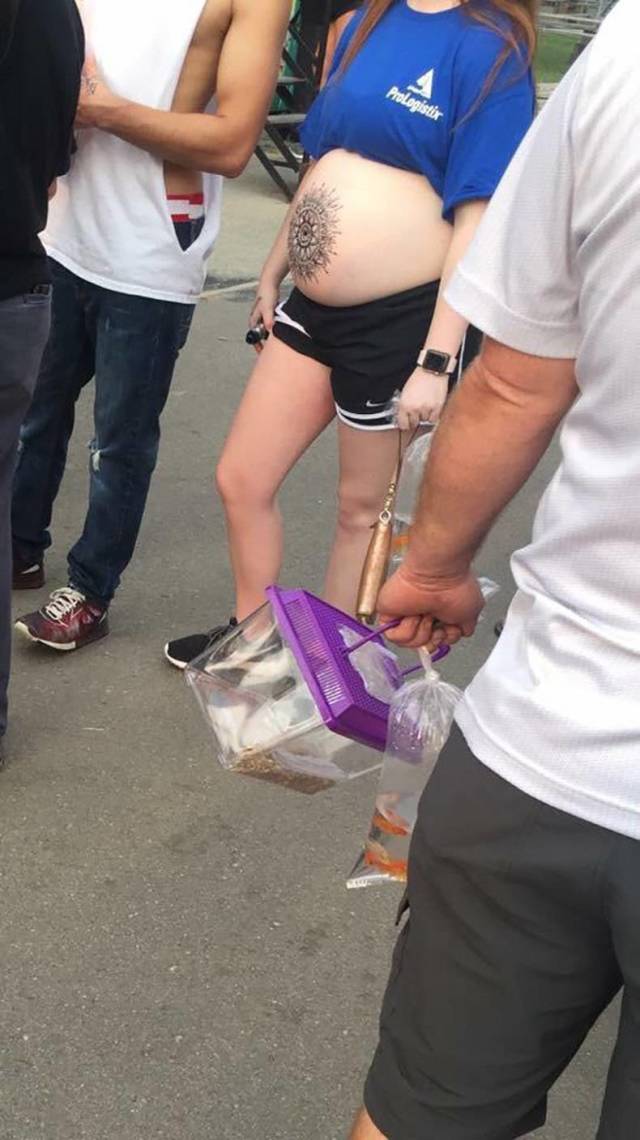 daily picdump 86 pics 24.html - 86 HD Photos | Premium Gallery 2018