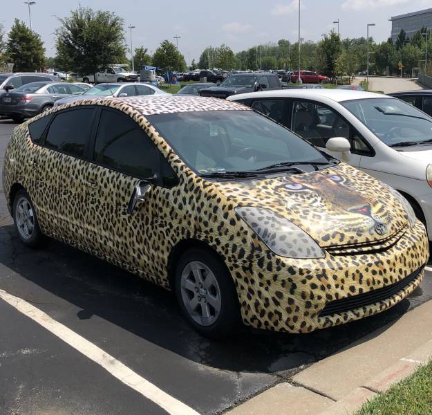 morning picdump 53 pics 14.html - 53 HD Photos | Premium Gallery 2018