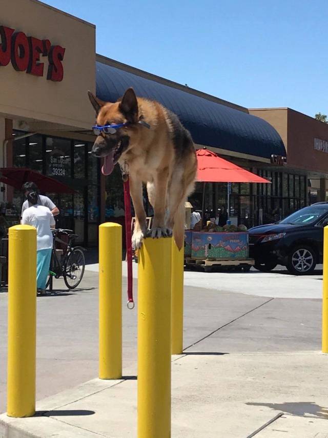 morning picdump 53 pics 12.html - 53 HD Photos | Premium Gallery 2018