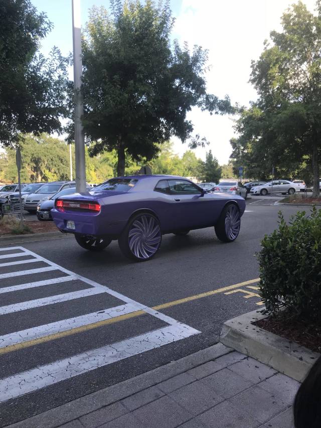 morning picdump 53 pics 12.html - 53 HD Photos | Premium Gallery 2018