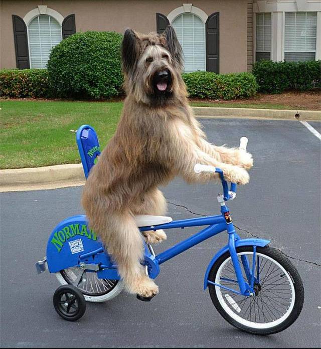 morning picdump 53 pics 12.html - 53 HD Photos | Premium Gallery 2018