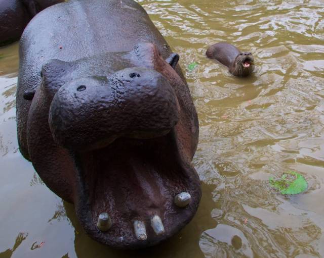 daily picdump 84 pics 15.html - 84 HD Photos | Premium Gallery 2018