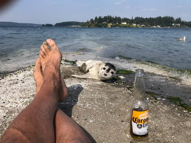 daily picdump 84 pics 15.html - 84 HD Photos | Premium Gallery 2018