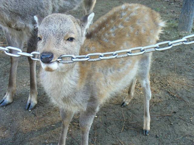 daily picdump 84 pics 15.html - 84 HD Photos | Premium Gallery 2018