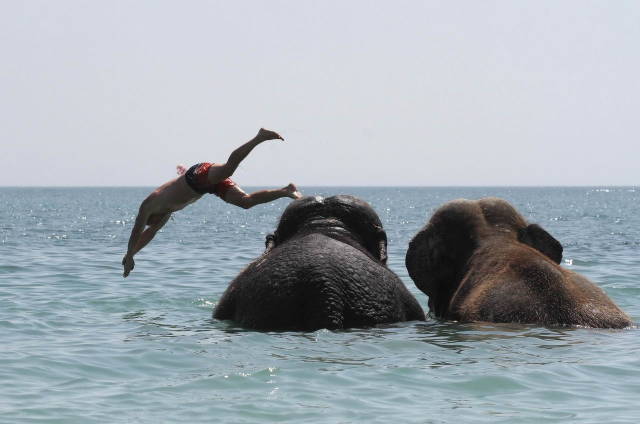 daily picdump 84 pics 15.html - 84 HD Photos | Premium Gallery 2018