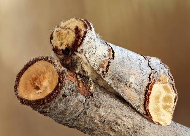 daily picdump 84 pics 15.html - 84 HD Photos | Premium Gallery 2018