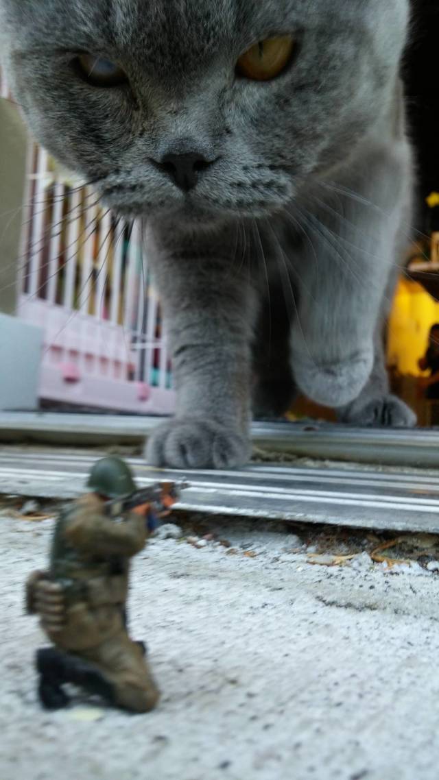 daily picdump 84 pics 15.html - 84 HD Photos | Premium Gallery 2018