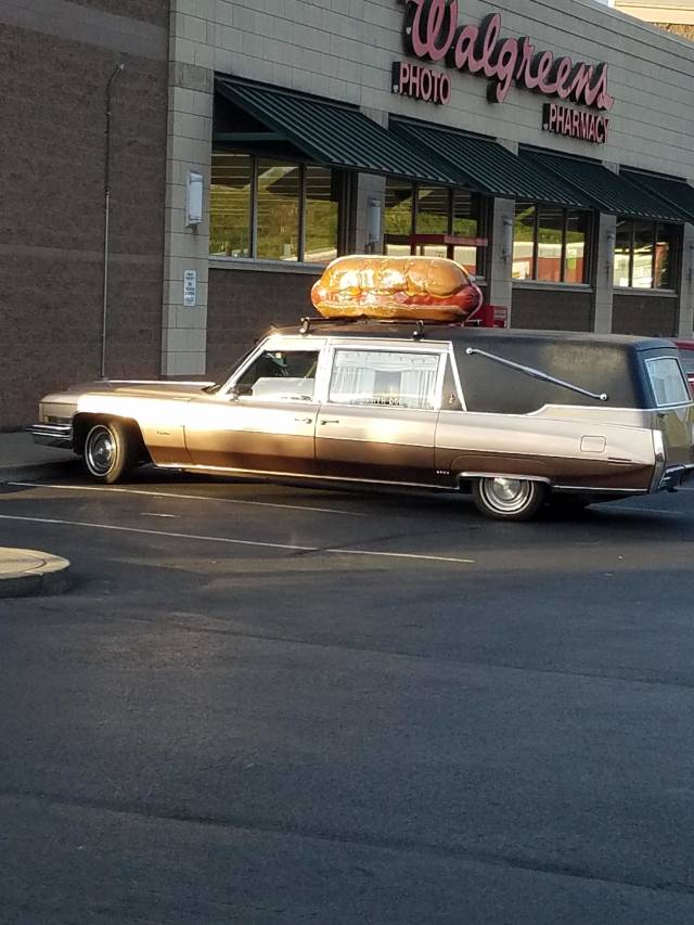 daily picdump 84 pics 15.html - 84 HD Photos | Premium Gallery 2018