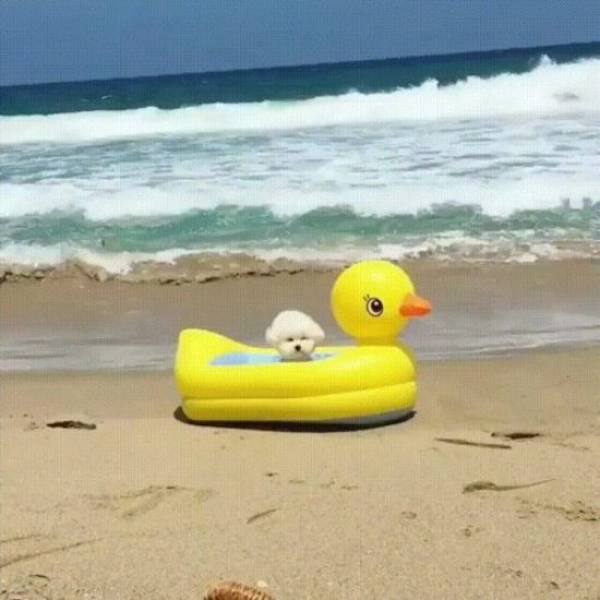 morning picdump 51 pics 13.html - 51 HD Photos | Premium Gallery 2018