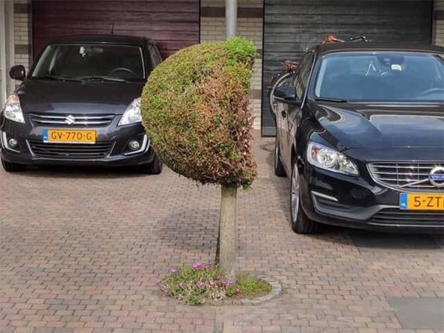 daily picdump weekend edition 53 pics 3.html - 53 HD Photos | Premium Gallery 2018