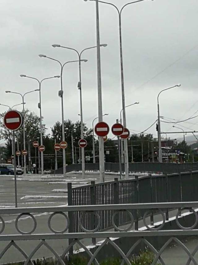 Daily Picdump [WEEKEND EDITION]