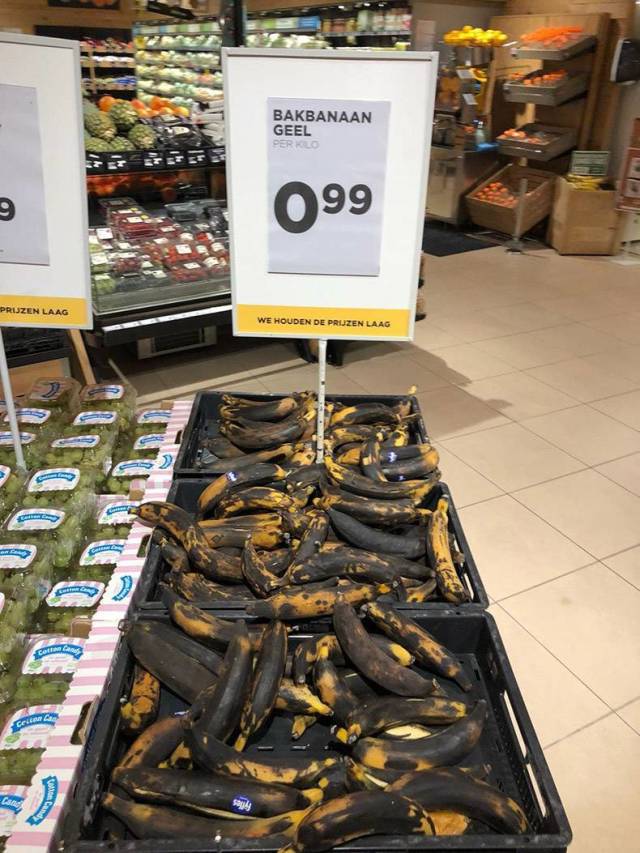 daily picdump weekend edition 53 pics 3.html - 53 HD Photos | Premium Gallery 2018