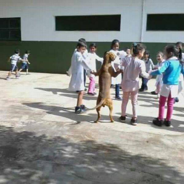 morning picdump 51 pics 26.html - 51 HD Photos | Premium Gallery 2018