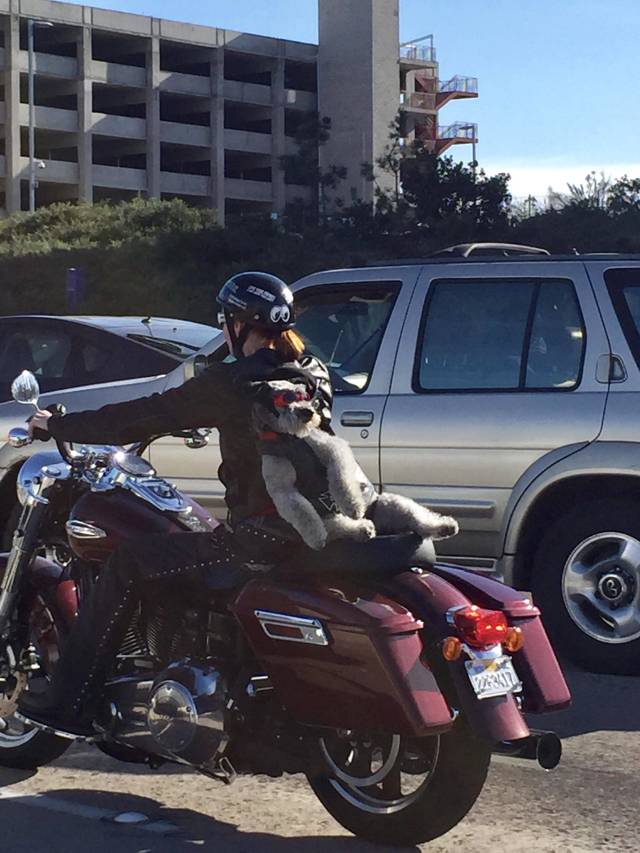 morning picdump 51 pics 26.html - 51 HD Photos | Premium Gallery 2018