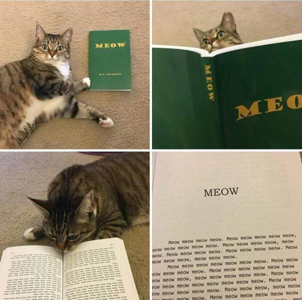 daily picdump 103 pics 51.html - 103 HD Photos | Premium Gallery 2018