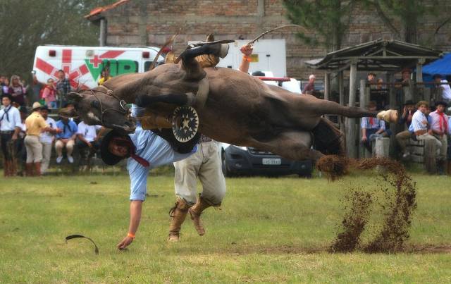 daily picdump 103 pics 51.html - 103 HD Photos | Premium Gallery 2018