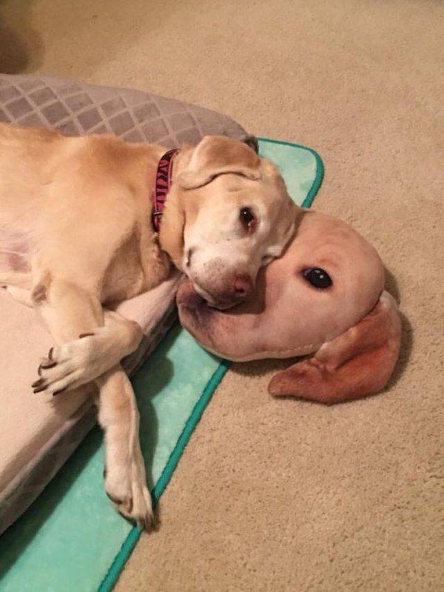daily picdump 103 pics 51.html - 103 HD Photos | Premium Gallery 2018