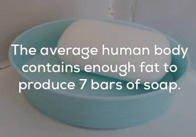 Scary Facts To Read At Night