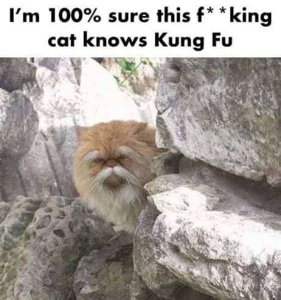 funny picdump 51 pics 26.html - 51 HD Photos | Premium Gallery 2018