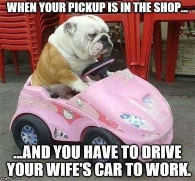 funny picdump 52 pics 7.html - 52 HD Photos | Premium Gallery 2018
