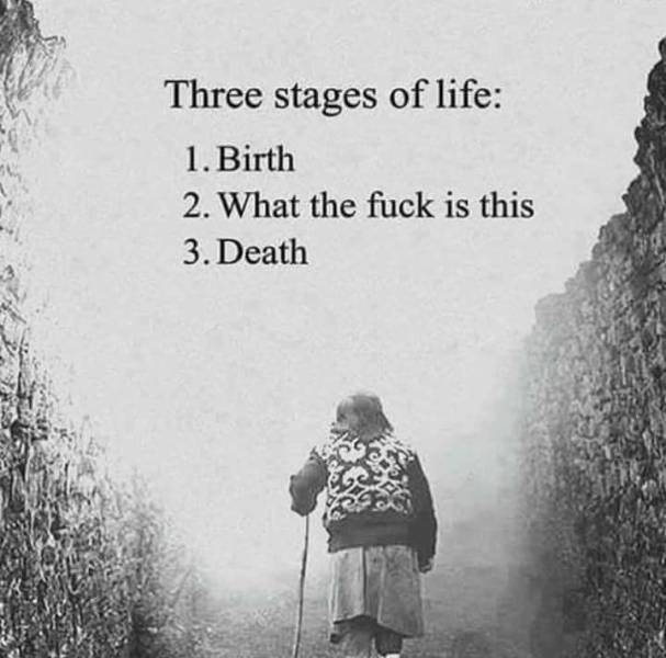 funny picdump 52 pics 7.html - 52 HD Photos | Premium Gallery 2018