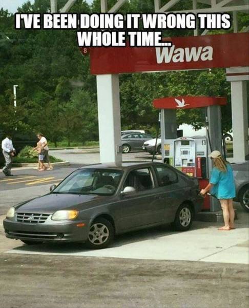 funny picdump 52 pics 7.html - 52 HD Photos | Premium Gallery 2018