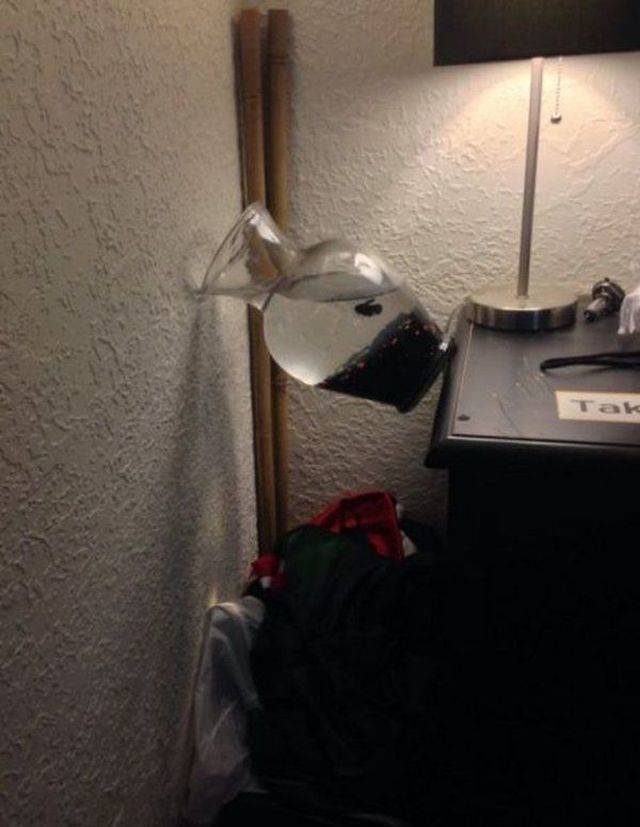 daily picdump 98 pics 3.html - 98 HD Photos | Premium Gallery 2018