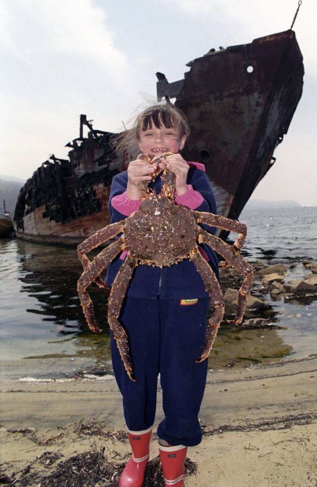 daily picdump 98 pics 3.html - 98 HD Photos | Premium Gallery 2018