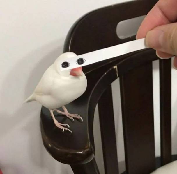 daily picdump 100 pics 38.html - 100 HD Photos | Premium Gallery 2018